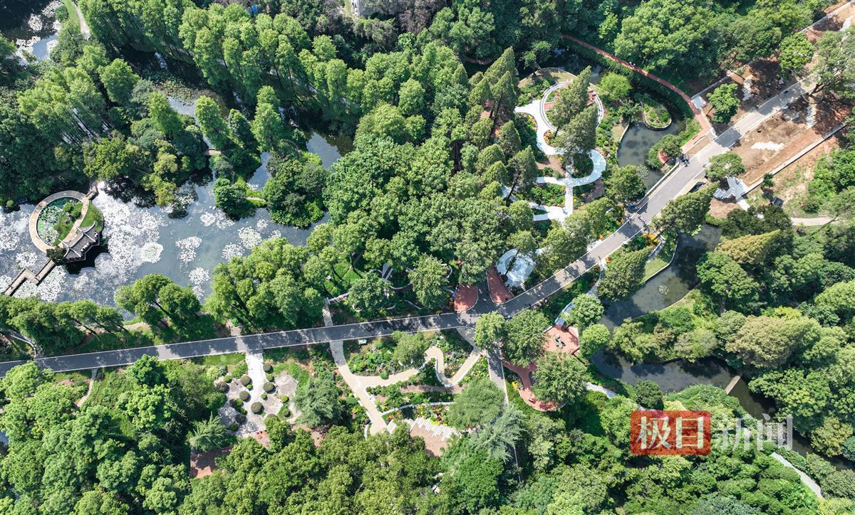 奔驰游戏网址